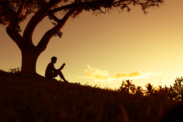 绿豆观察10天记录内容